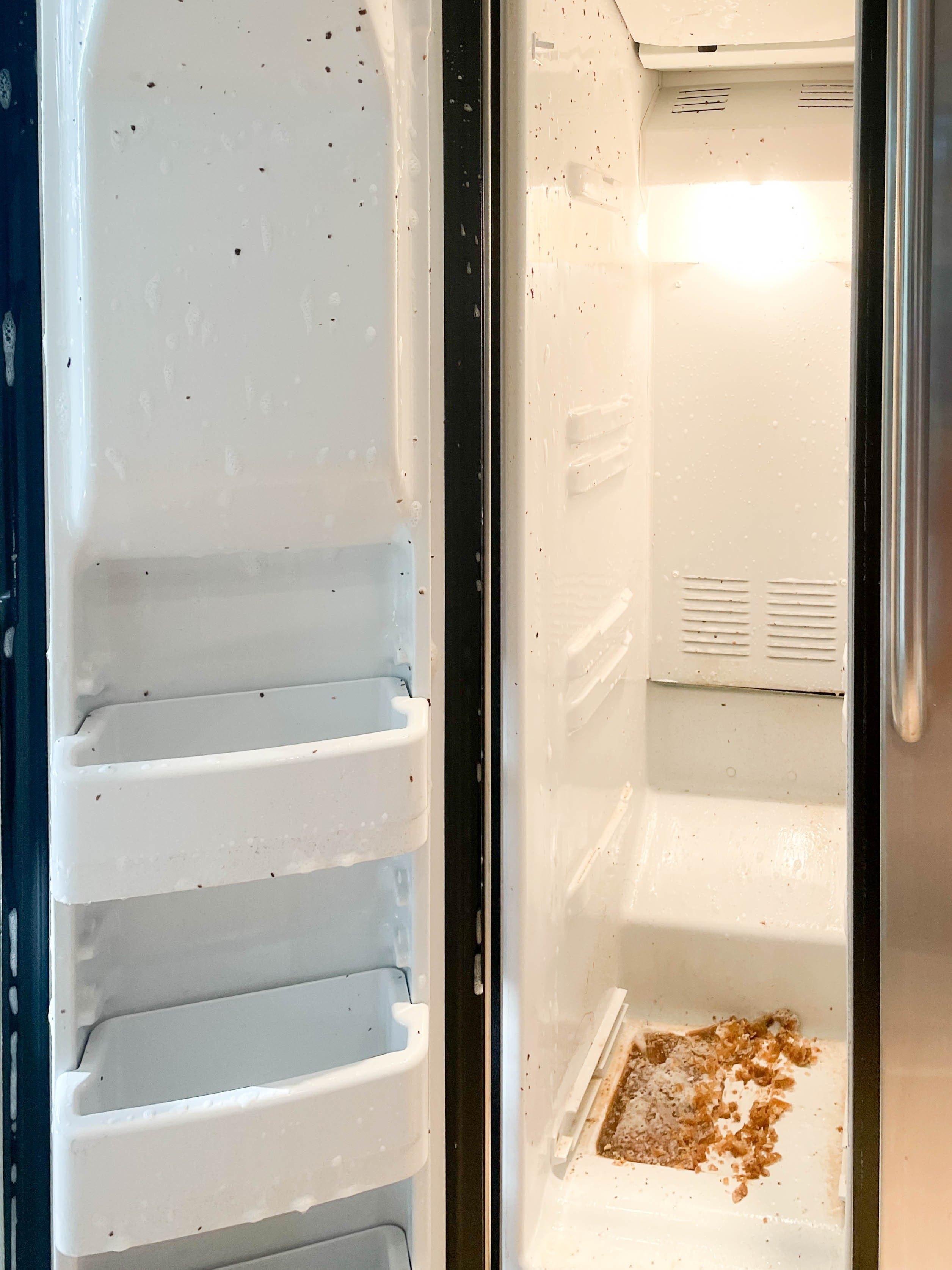 Inside fridge cleaning